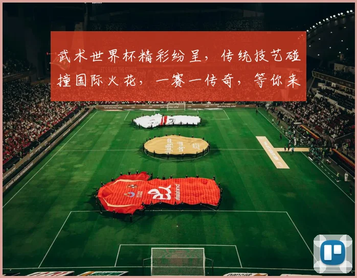 武术世界杯精彩纷呈，传统技艺碰撞国际火花，一赛一传奇，等你来见证