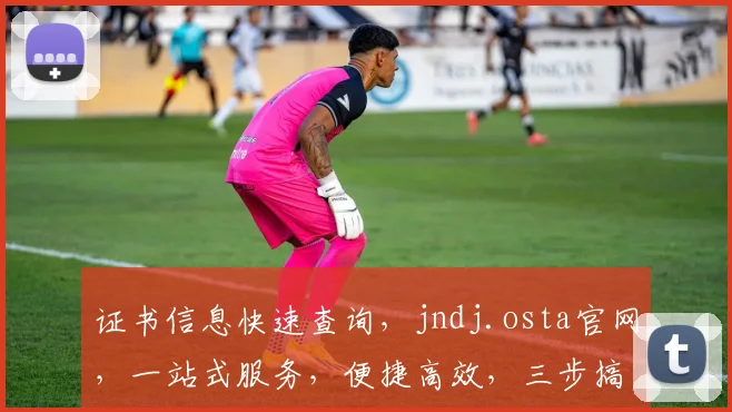 证书信息快速查询，jndj.osta官网，一站式服务，便捷高效，三步搞定
