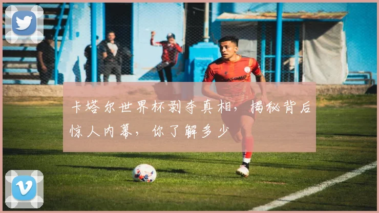 卡塔尔世界杯剥夺真相，揭秘背后惊人内幕，你了解多少