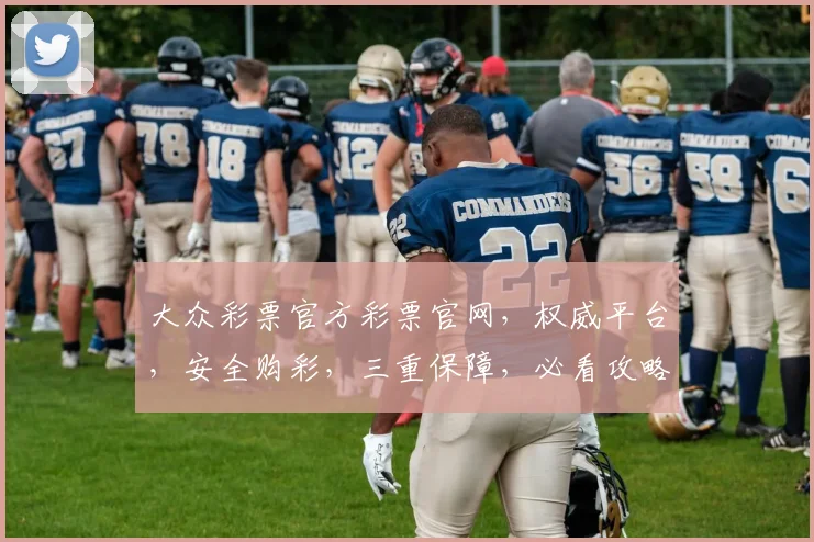 大众彩票官方彩票官网，权威平台，安全购彩，三重保障，必看攻略，轻松中奖